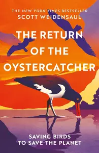 The Return of the Oystercatcher: Saving Birds to Save the Planet (UK Edition)