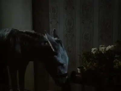 High Rise Donkey (1980)