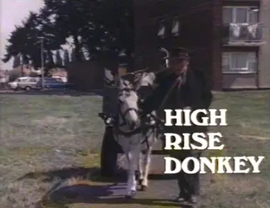High Rise Donkey (1980)