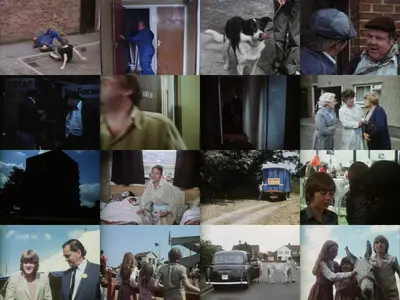 High Rise Donkey (1980)