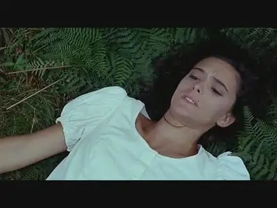 Vacas (1992)