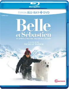 Belle and Sebastian (2013)