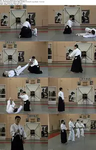Ah Loi Lee - Aikido Advanced Level Vol 2 - Wooden Weapons