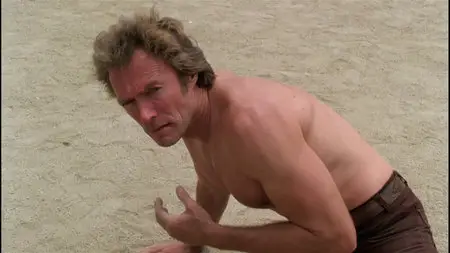 Any Which Way You Can (1980)