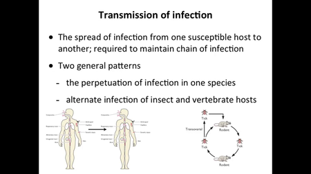 Coursera - Virology II: How Viruses Cause Disease