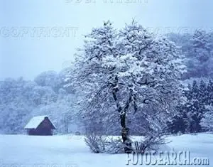 Photodisc Vol. 174 - Japanese Landscape