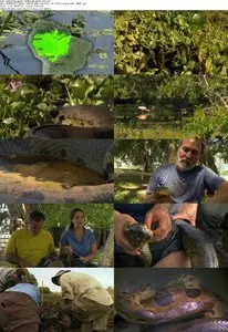 National Geographic - Anaconda: Queen of the Serpents (2010)