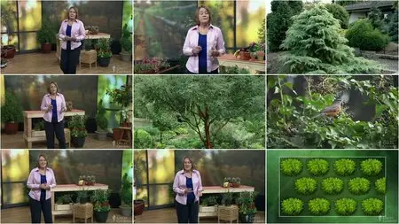 TTC Video - How to Grow Anything: Make Your Trees and Shrubs Thrive