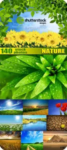 Amazing SS - Nature