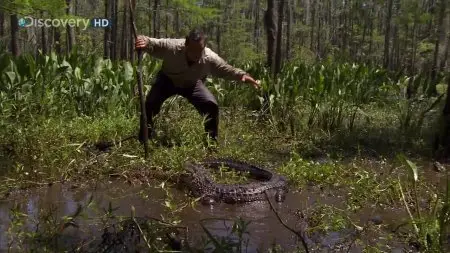 Ultimate Survival (Man vs Wild) Deep South (2008)