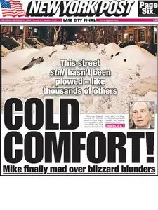 New York Post 2010.12.29