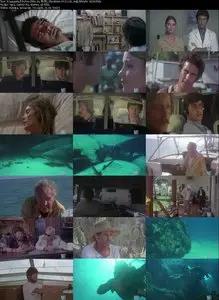 Cave of the Sharks (1978) 