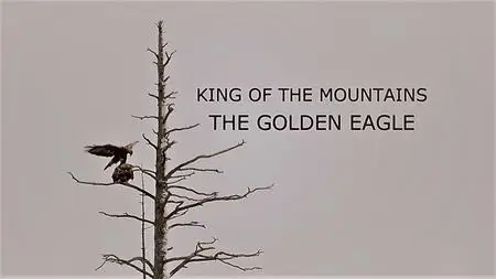 Autentic - King of the Mountains: Golden Eagle (2015)