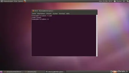 Video2Brain: Ubuntu 10.10
