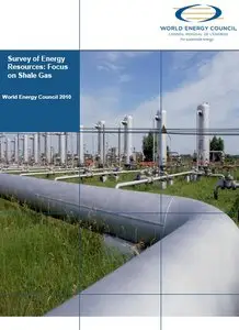 Shale Gas 2010