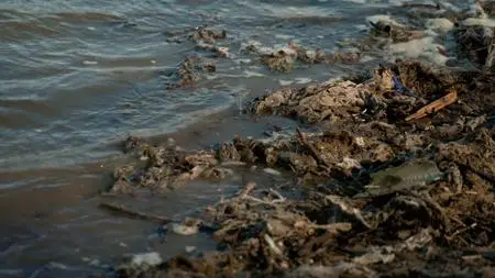 BBC - Panorama: The River Pollution Scandal (2021)