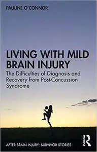 Living with Mild Brain Injury