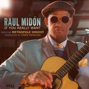 Raul Midón - If You Really Want (2018) [Official Digital Download]