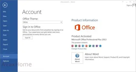 Microsoft Office Professional Plus 2013 SP1 15.0.4641.1001