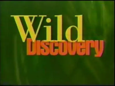 Wild Discovery - Brother Wolf (1995)