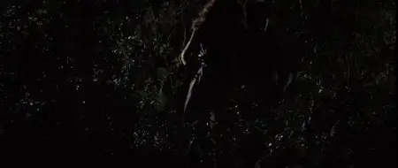 El Ardor (2014)
