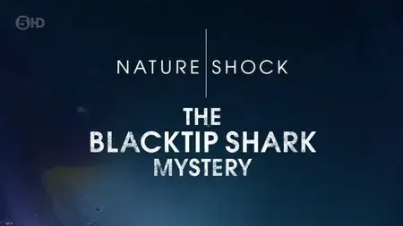 CH5 Nature Shock - The Blacktip Shark Mystery (2013)