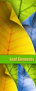 Stock Photo - Leaf Elements