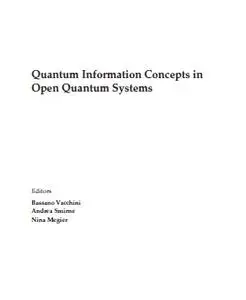 Quantum Information Concepts in Open Quantum Systems