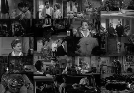 The Shaggy Dog (1959)
