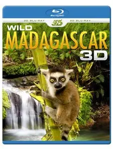 Madagascar (2013)
