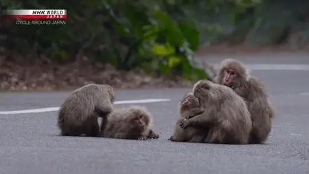 NHK Cycle Around Japan - Tanegashima and Yakushima: Inspired by Nature (2020)