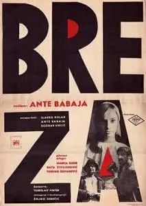 Breza / The Birch Tree (1967)