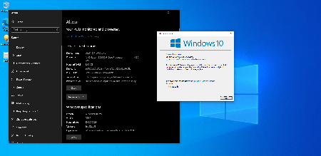 Windows 10 version 20H2 Build 19042.508 BUSINESS Edition
