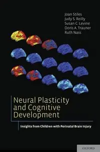 Neural Plasticity and Cognitive Development: Insights from Children with Perinatal Brain Injury