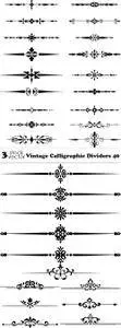 Vectors - Vintage Calligraphic Dividers 40