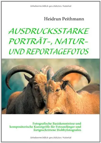 Ausdrucksstarke Porträt-, Natur- und Reportagefotos: Fotografische Basiskenntnisse und kompositorische Kunstgriffe
