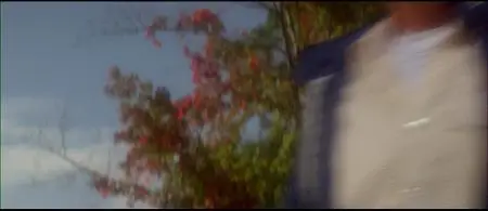 Strange Invaders (1983)