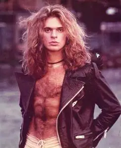 David Lee Roth - Crazy From The Heat (1985)