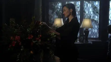 Gotham S04E09