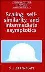 Scaling, self-similarity, and intermediate asymptotics