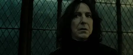 Harry Potter and the Deathly Hallows: Part 2 (2011)