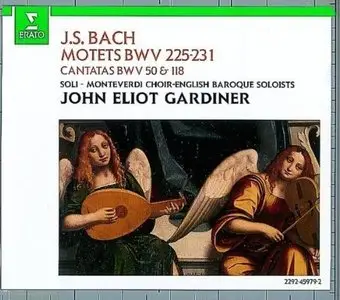 Bach - Motets BWV 225-231, Cantatas BWV 50 & 118 (John Eliot Gardiner)