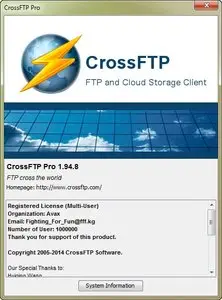 Crossworld CrossFTP Professional 1.94.8 + Portable