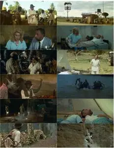 The African (1983) L'Africain