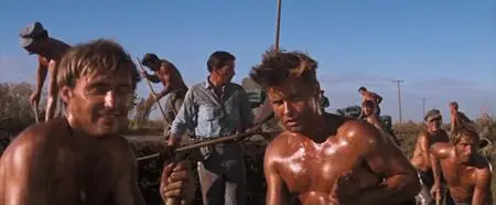 Cool Hand Luke (1967)