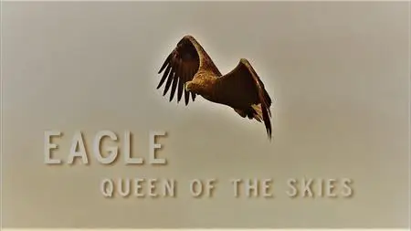 Doclights - Eagle: Queen of the Skies (2021)