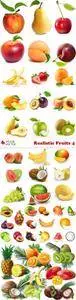 Vectors - Realistic Fruits 4
