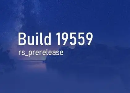 Windows 10 Insider Preview (20H2) Build 19559.1