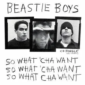 Beastie Boys - Check Your Head CD5's (4 CD's) (1992) {Grand Royal/Capitol} **[RE-UP]**