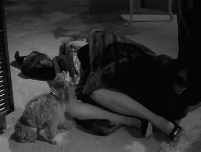 Alfred Hitchcock: Out There - Darkness (1959)